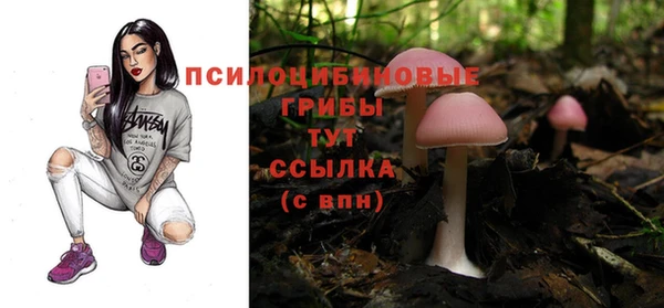 гидропоника Бородино