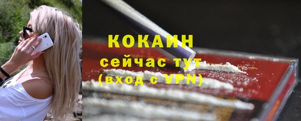 мдпв Бронницы