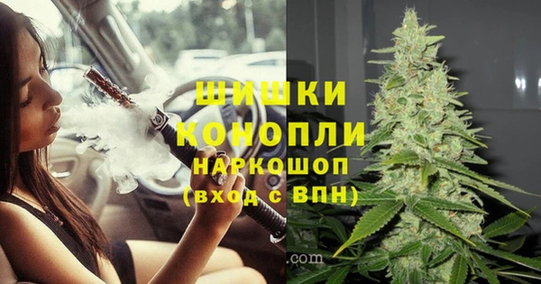 мдпв Бронницы