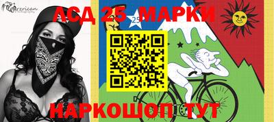 шишки Бийск