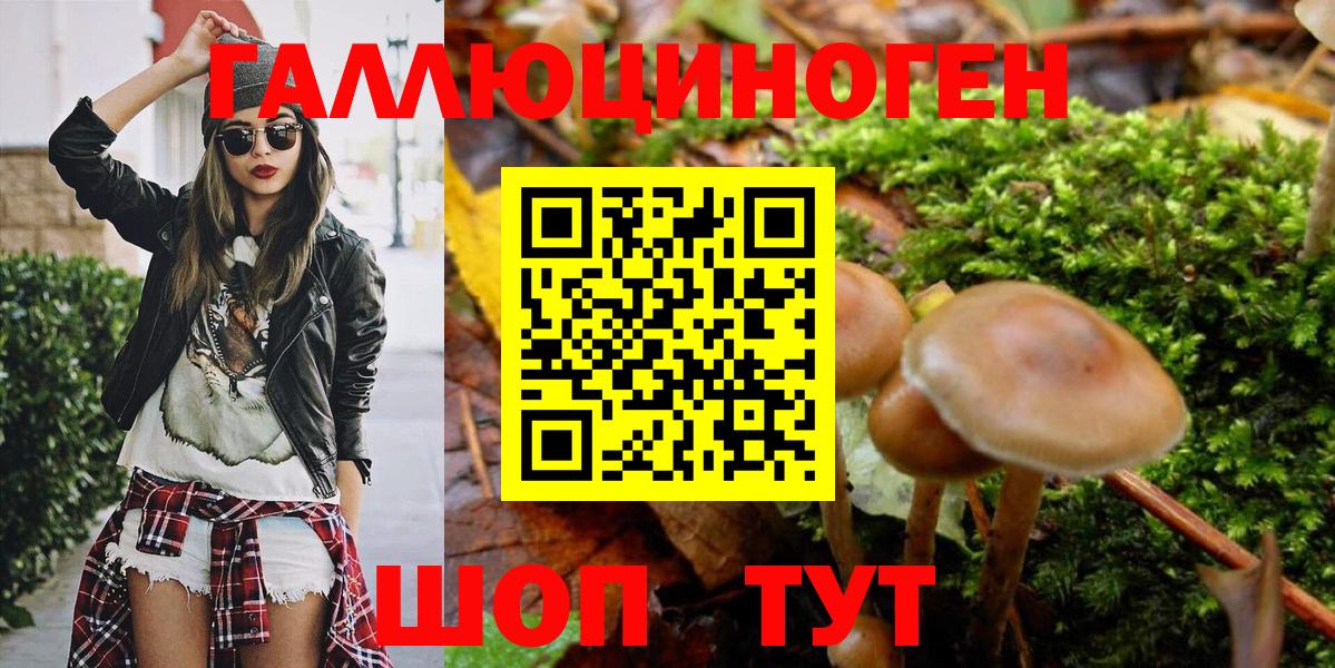 где купить наркоту  Видное  Галлюциногенные грибы GOLDEN TEACHER  Галлюциногенные грибы Psilocybe 