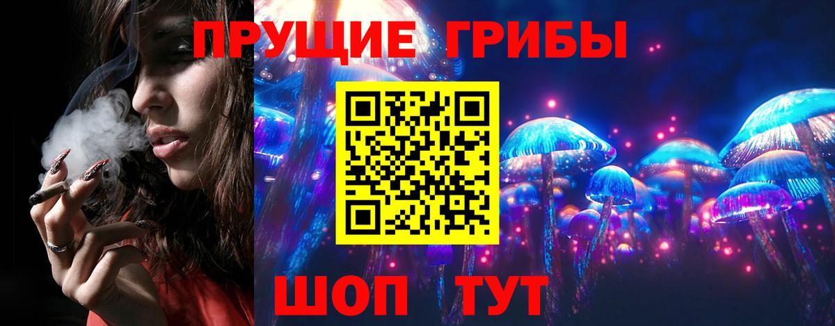 Галлюциногенные грибы Psilocybe Видное