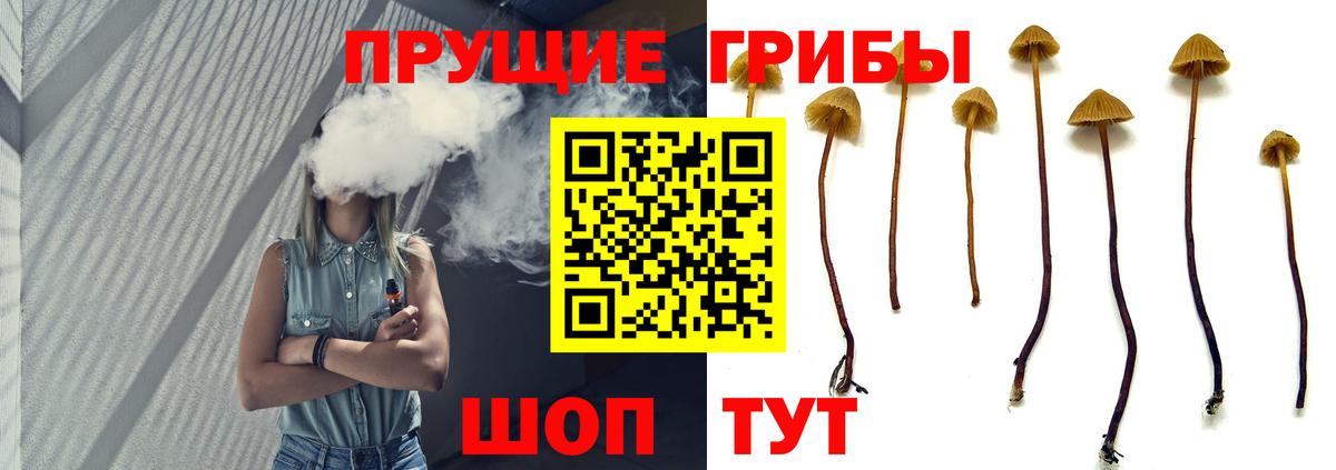Видное  Галлюциногенные грибы Psilocybine cubensis  Псилоцибиновые грибы ЛСД  Вход с VPN 