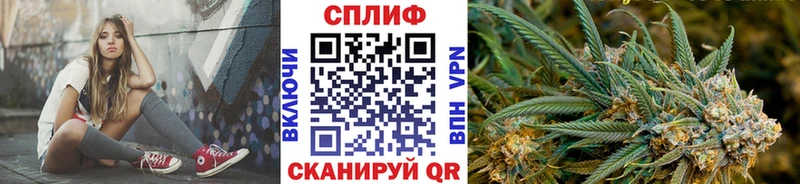 наркота  Видное  Марихуана план 